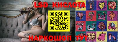 Альфа ПВП Кандалакша