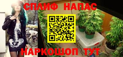 стафф Кинель