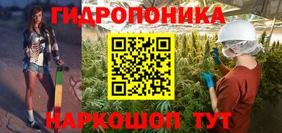 ALPHA-PVP Камышлов