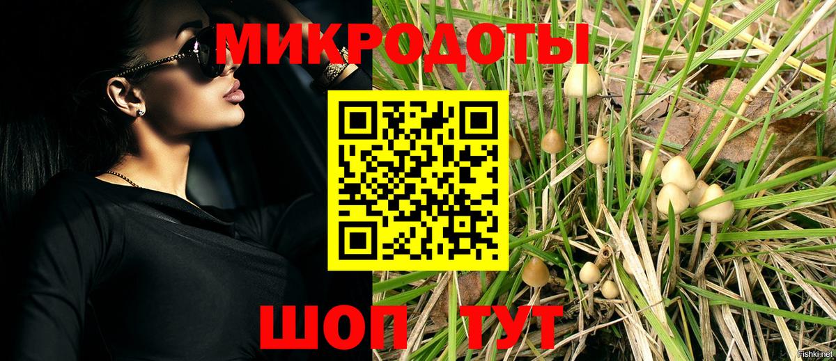 Галлюциногенные грибы ЛСД  где купить   Лабинск  Псилоцибиновые грибы Psilocybe  Вход с VPN 